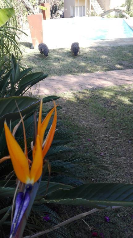 Villa Via Hotel Midrand Bagian luar foto